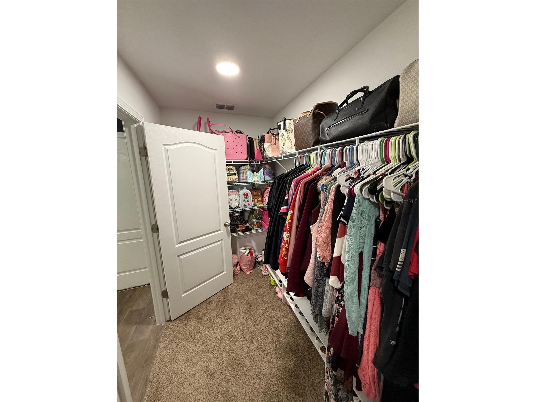 38 Hulett Woods Road Palm Coast FL 32137 O6412262 image24