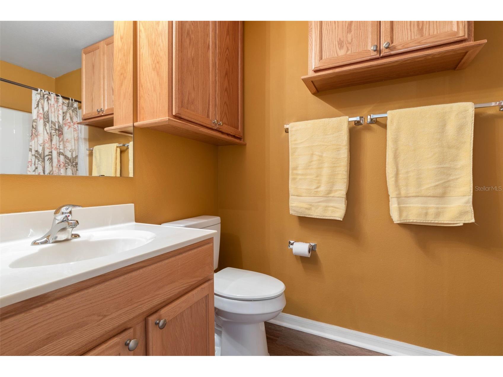 38 Lloyd Trail Palm Coast FL 32164 FC318072 image23