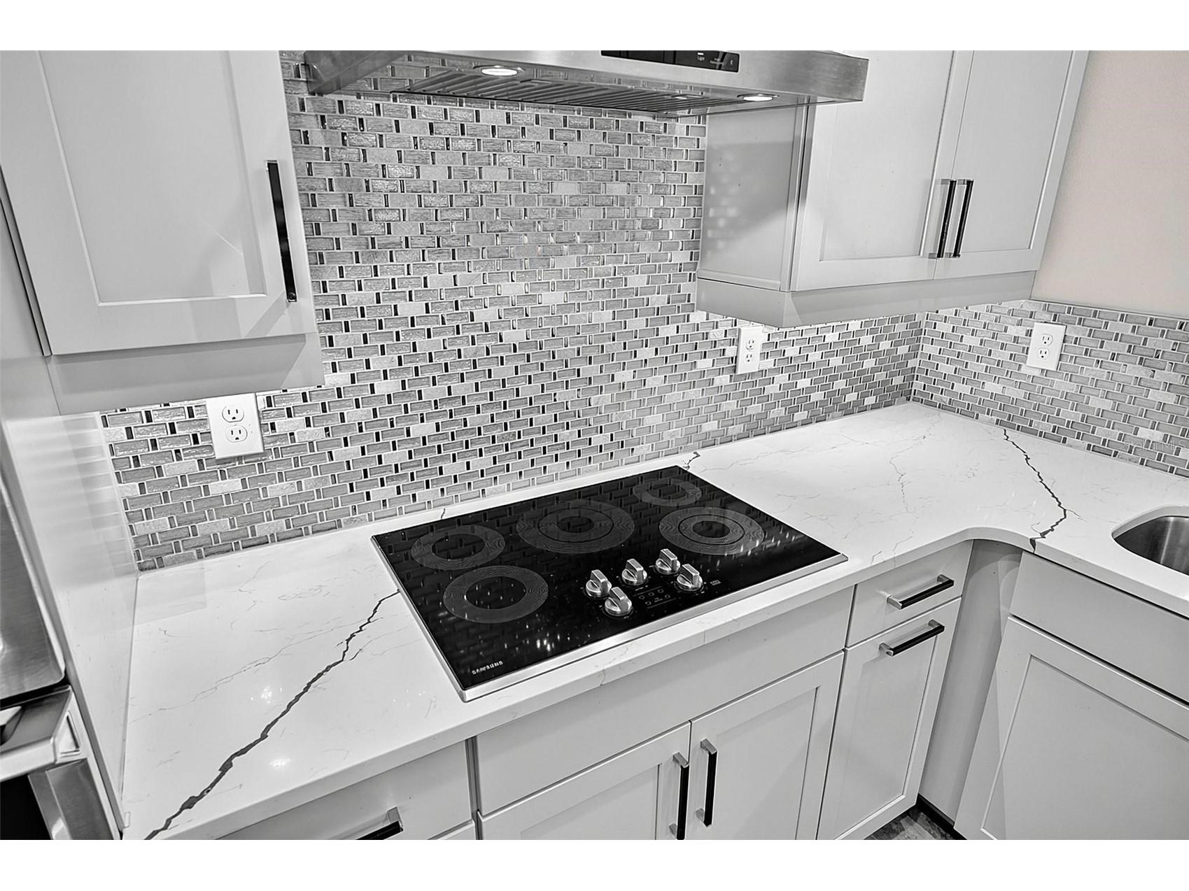 38 New Leatherwood Drive Palm Coast FL 32137 FC320010 image19