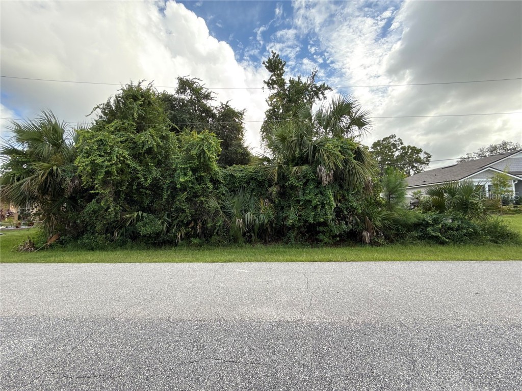 38 Pineapple Drive Palm Coast FL 32164 L4957339 image1