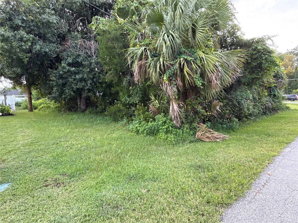 38 Pineapple Drive Palm Coast FL 32164 L4957339 image3