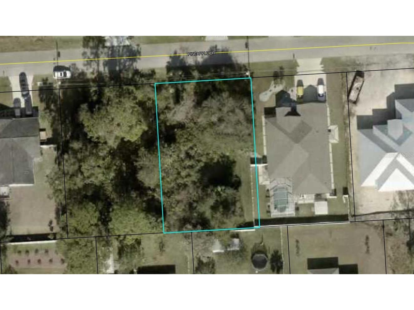 38 Pineapple Drive Palm Coast FL 32164 L4957339 image4