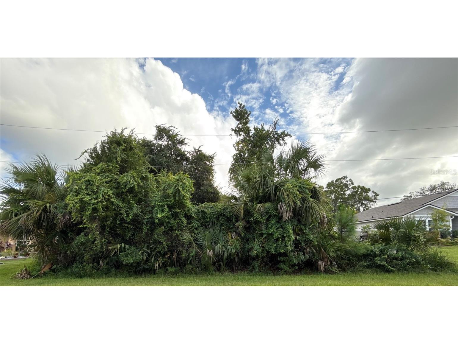 38 Pineapple Drive Palm Coast FL 32164 L4957339 image6