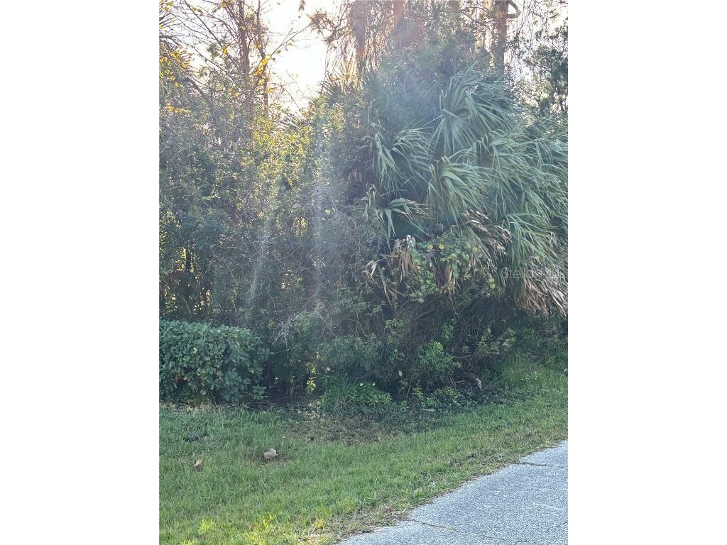 38 Princess Ruth Lane Palm Coast FL 32164 V4933971 image1