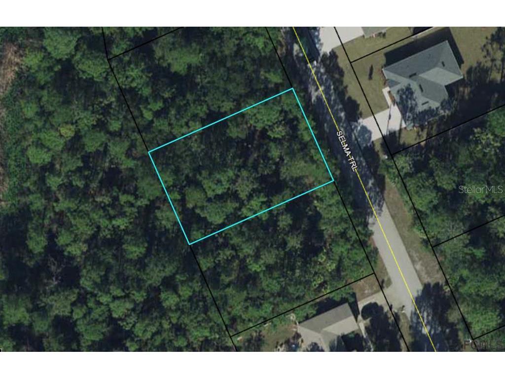 38 Selma Trail Palm Coast FL 32164 FC276871 image2