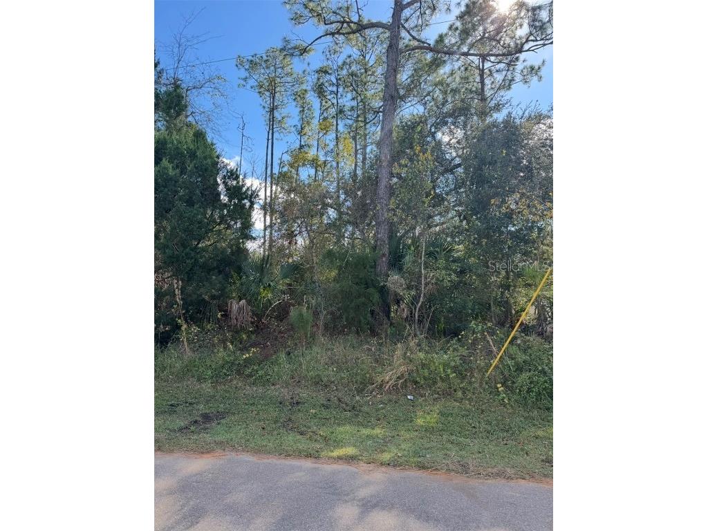 38 Sleepy Hollow Trail Palm Coast FL 32164 S5139649 image1