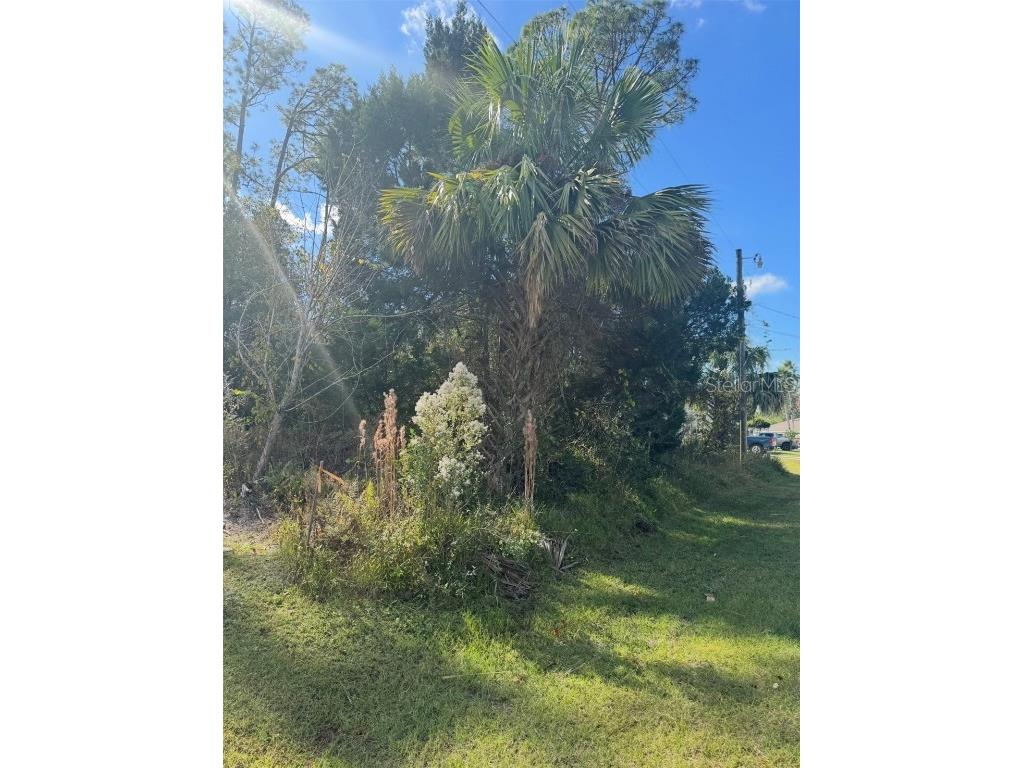 38 Sleepy Hollow Trail Palm Coast FL 32164 S5139649 image3