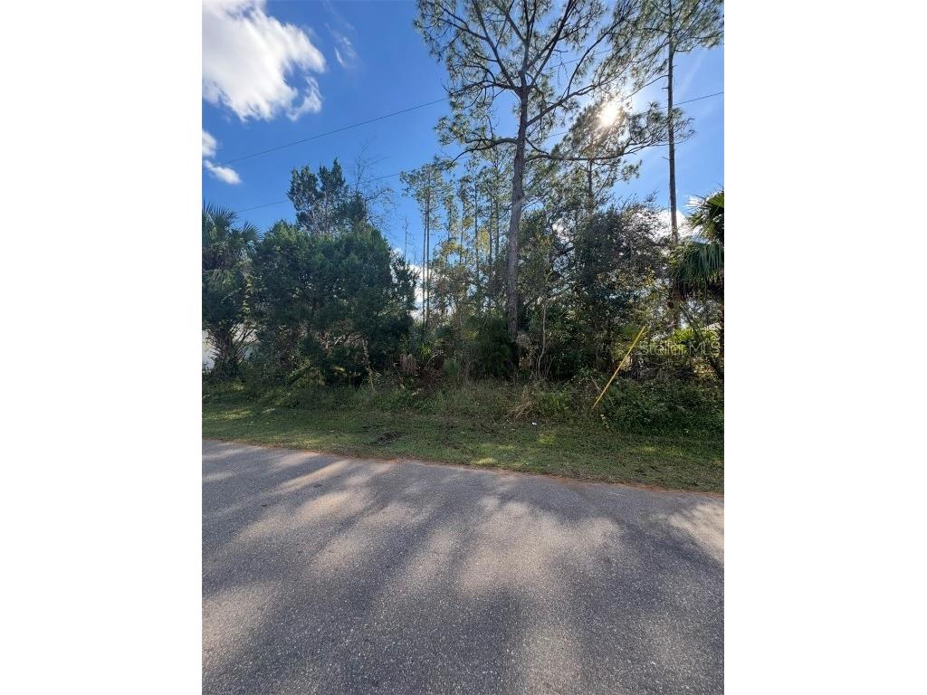 38 Sleepy Hollow Trail Palm Coast FL 32164 S5139649 image4