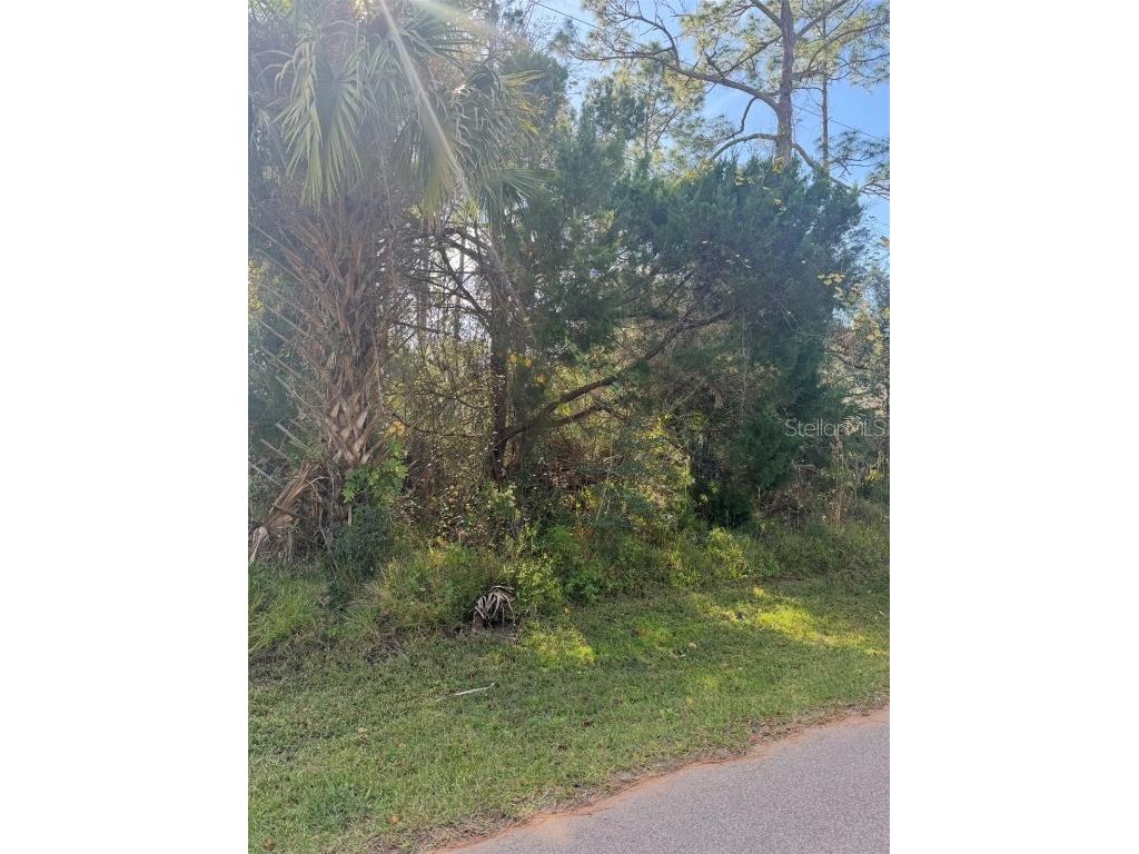 38 Sleepy Hollow Trail Palm Coast FL 32164 S5139649 image5