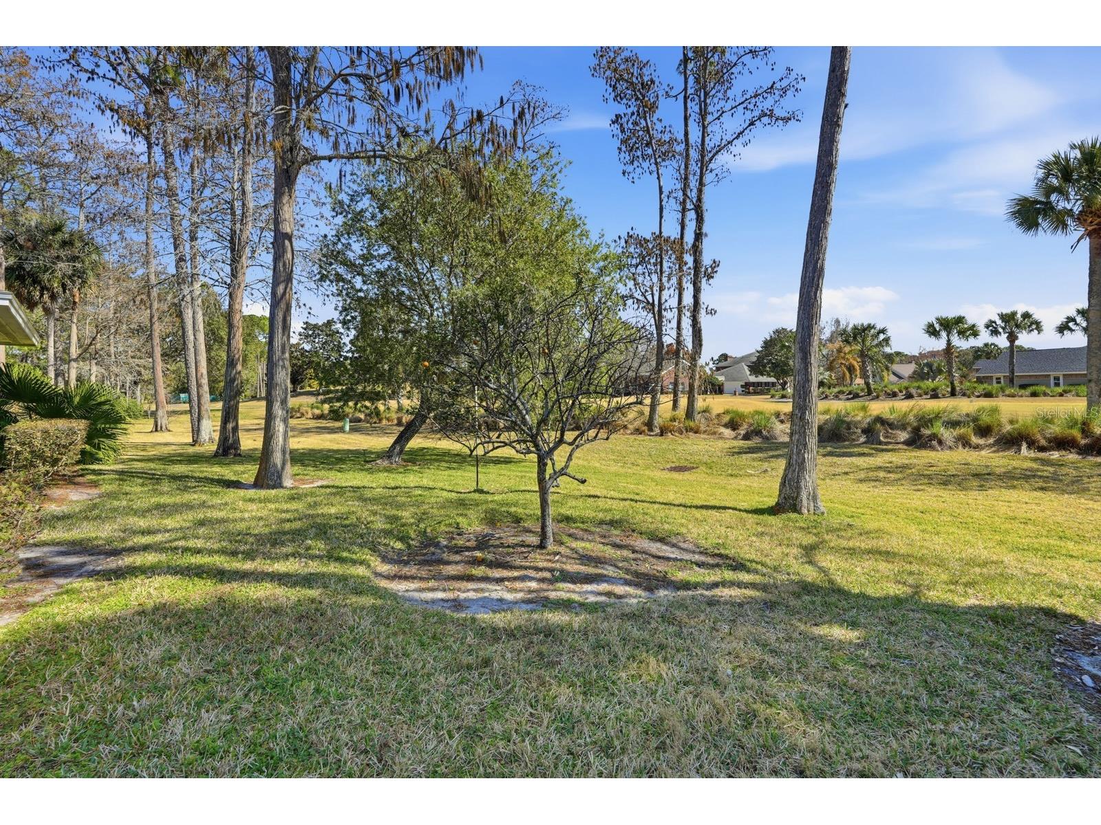 38 Treetop Circle Ormond Beach FL 32174 FC316179 image39