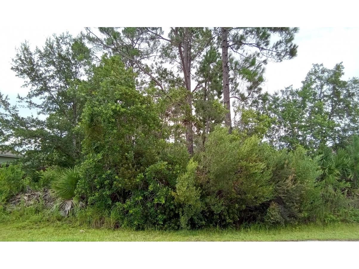 38 White Star Drive Palm Coast FL 32164 O6137222 image1