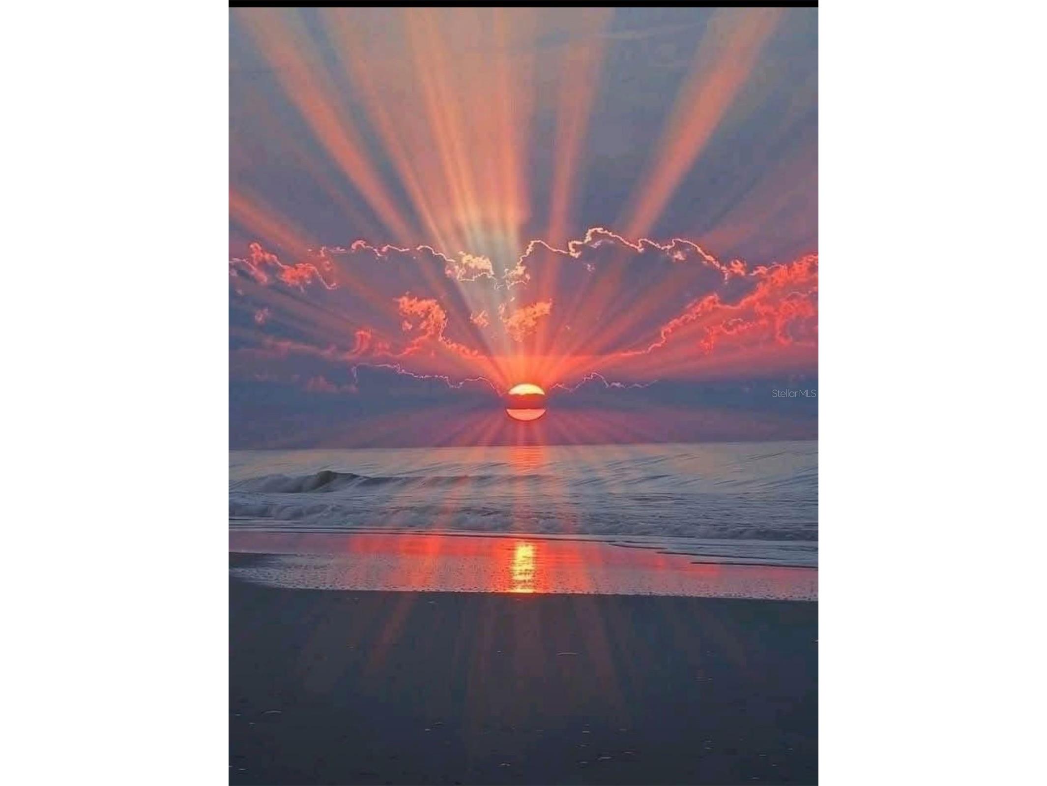 380 46th Avenue Saint Pete Beach FL 33706 TB8515351 image10