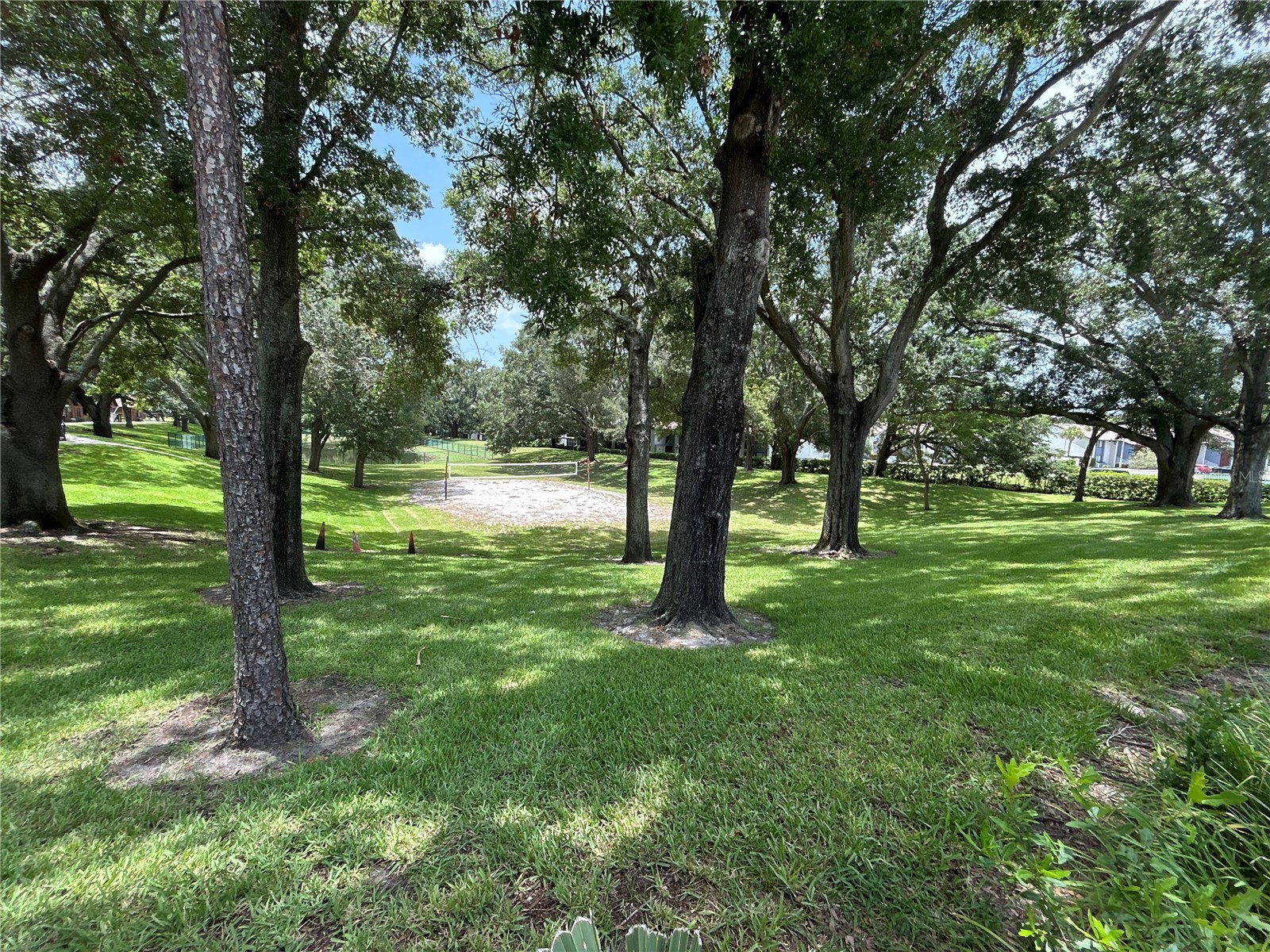 380 Lakepointe Drive #202 Altamonte Springs FL 32701 O6421275 image19