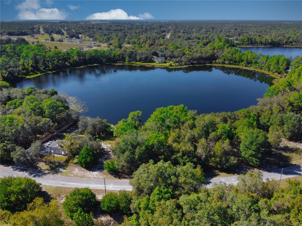 380 Malauka Radial Ocklawaha FL 32179 - LAKE LEON OM666638 image1