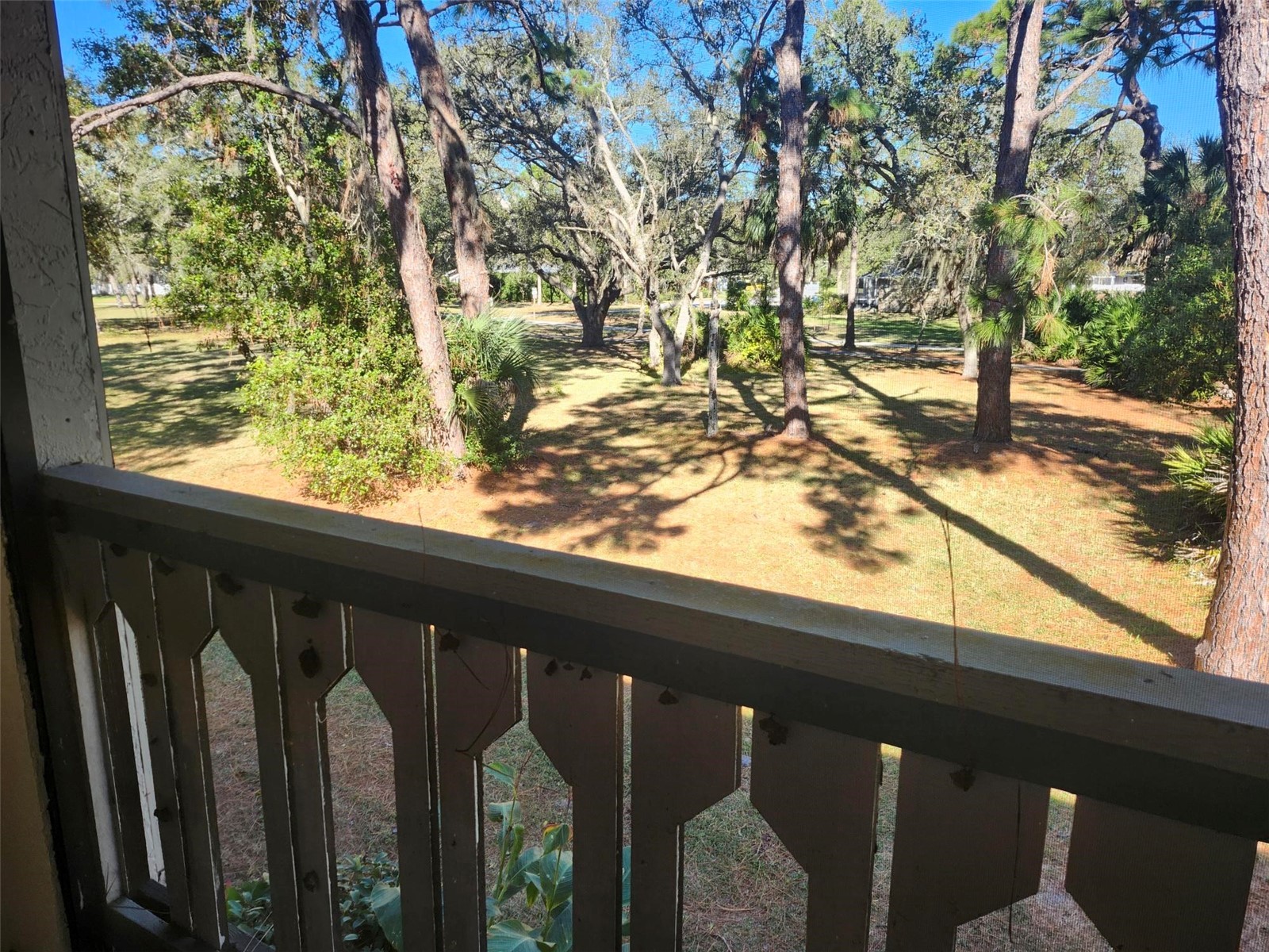 380 N Bayshore Boulevard #204 Clearwater FL 33759 TB8465339 image18