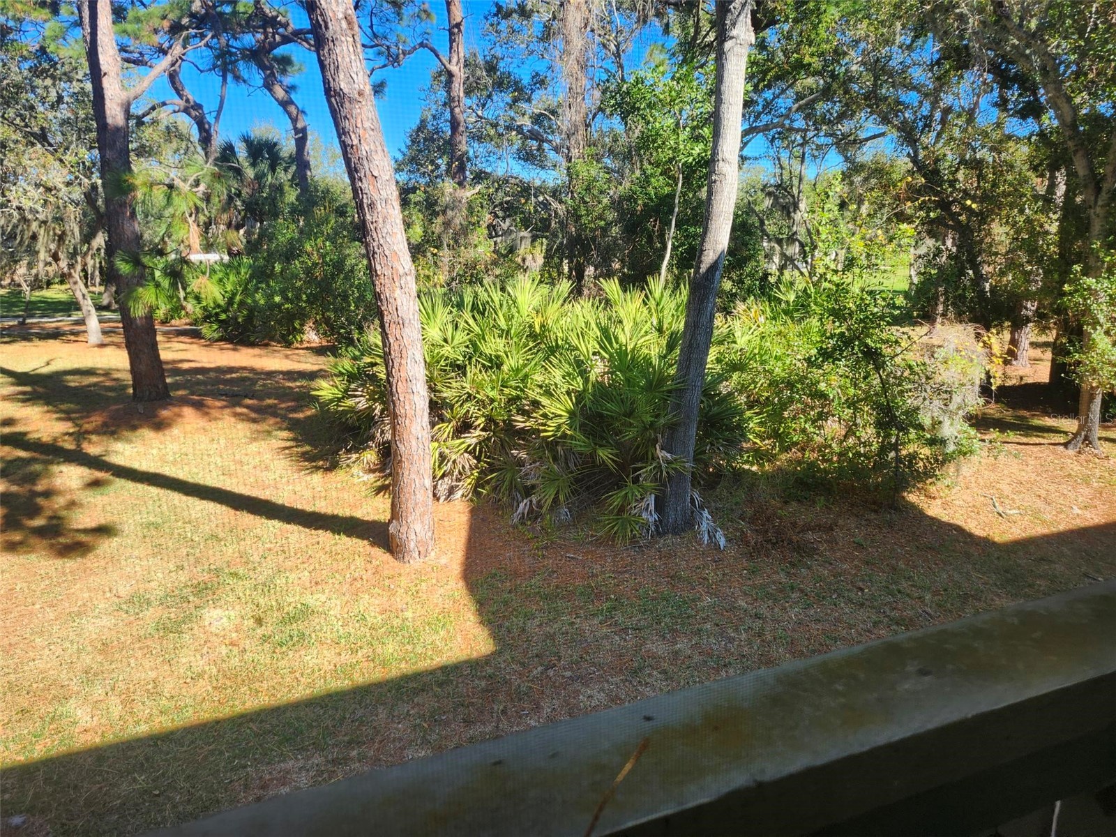 380 N Bayshore Boulevard #204 Clearwater FL 33759 TB8465339 image19