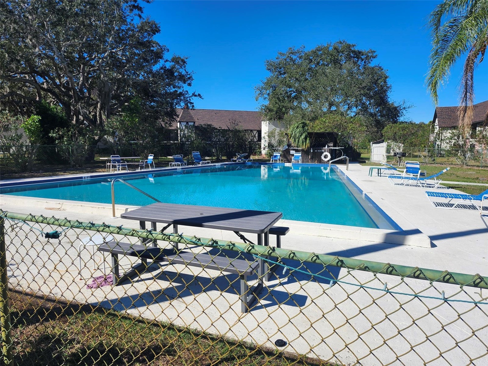 380 N Bayshore Boulevard #204 Clearwater FL 33759 TB8465339 image24