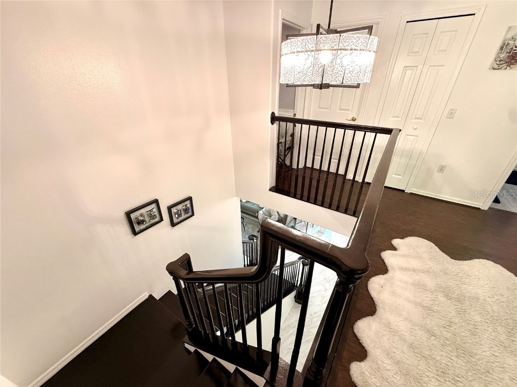 380 Rosalind Lane Oldsmar FL 34677 TB8437475 image39