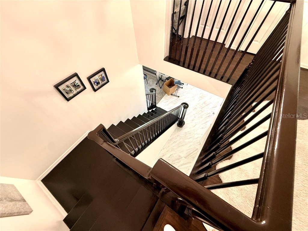 380 Rosalind Lane Oldsmar FL 34677 TB8437475 image40