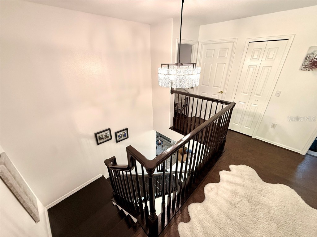 380 Rosalind Lane Oldsmar FL 34677 TB8437475 image41