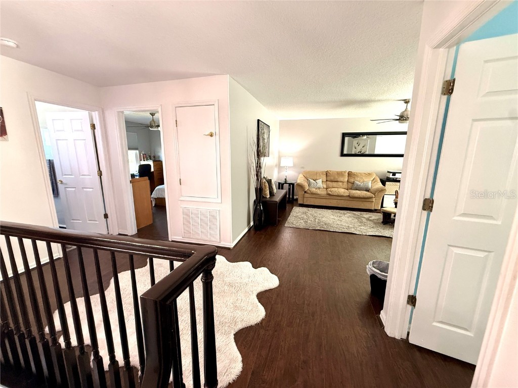 380 Rosalind Lane Oldsmar FL 34677 TB8437475 image42