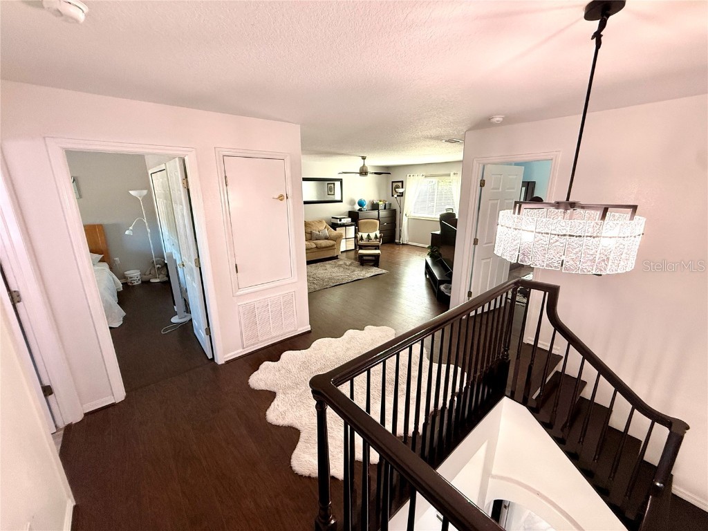 380 Rosalind Lane Oldsmar FL 34677 TB8437475 image43