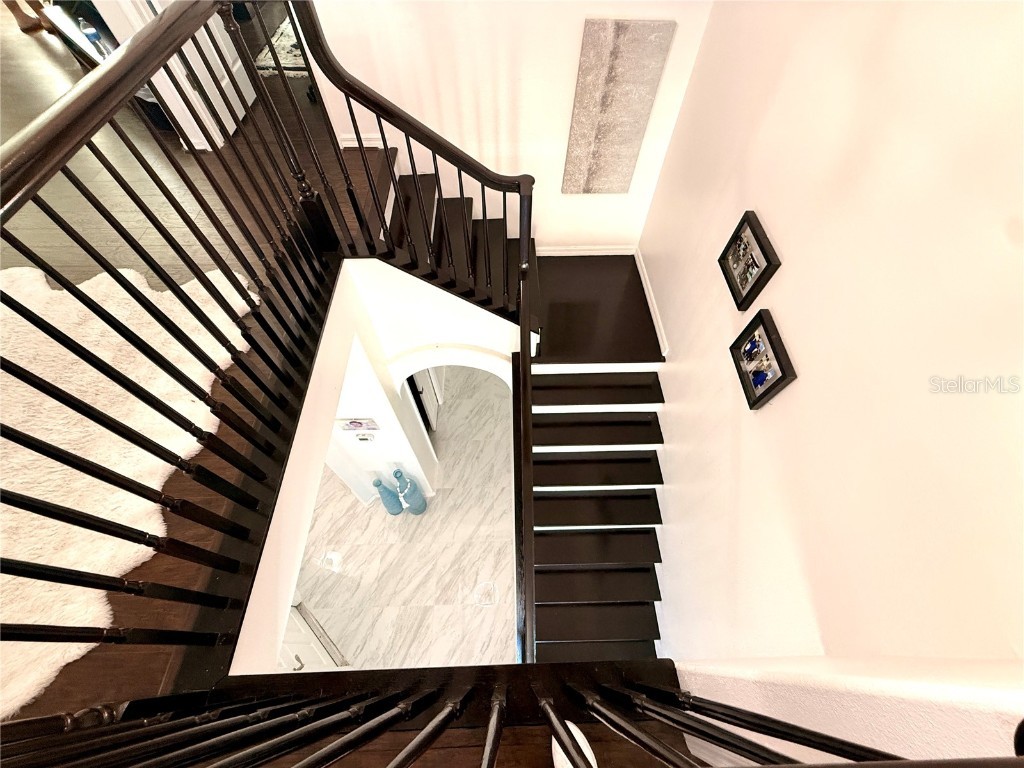 380 Rosalind Lane Oldsmar FL 34677 TB8437475 image44