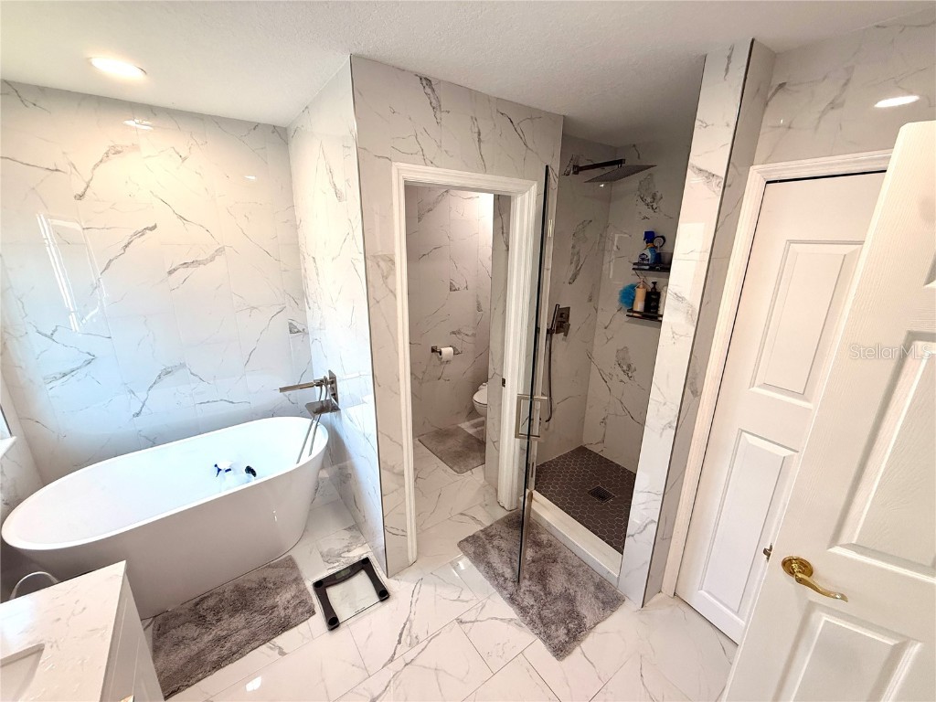 380 Rosalind Lane Oldsmar FL 34677 TB8437475 image51