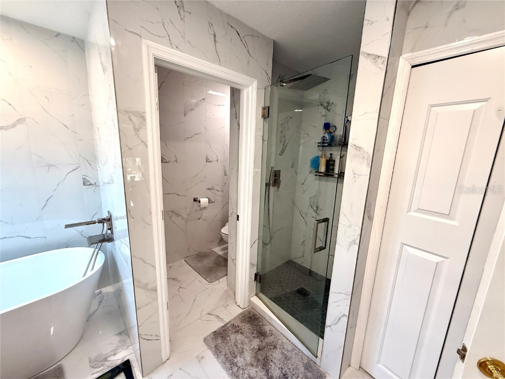 380 Rosalind Lane Oldsmar FL 34677 TB8437475 image57