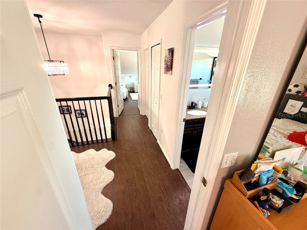 380 Rosalind Lane Oldsmar FL 34677 TB8437475 image67