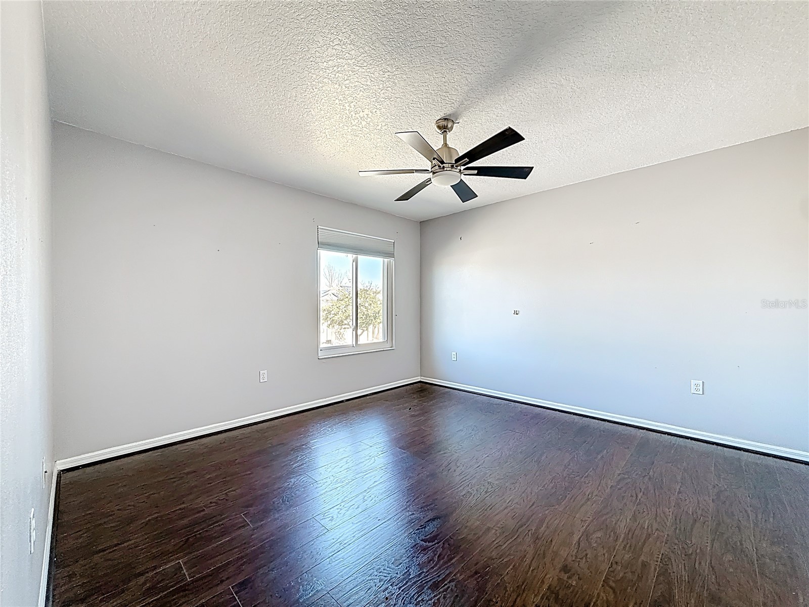 380 Rosalind Lane Oldsmar FL 34677 TB8474772 image39