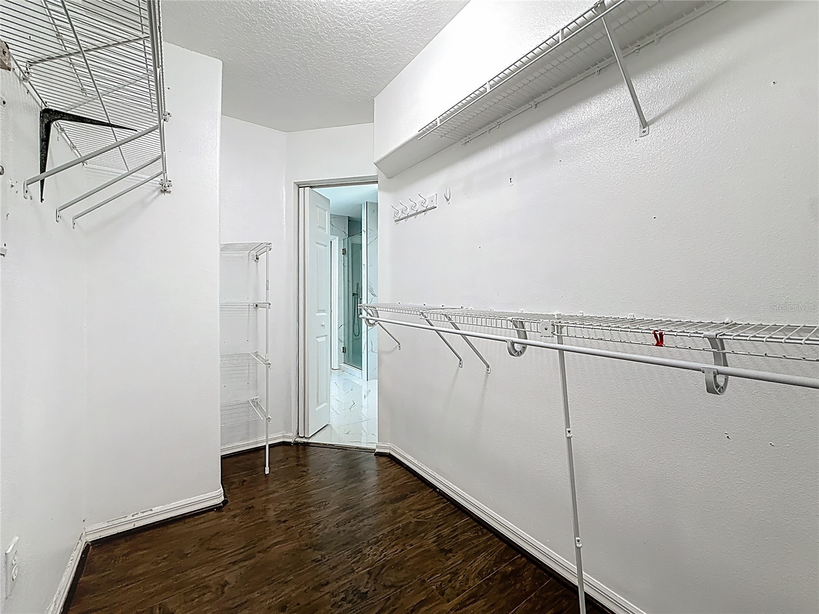 380 Rosalind Lane Oldsmar FL 34677 TB8474772 image63