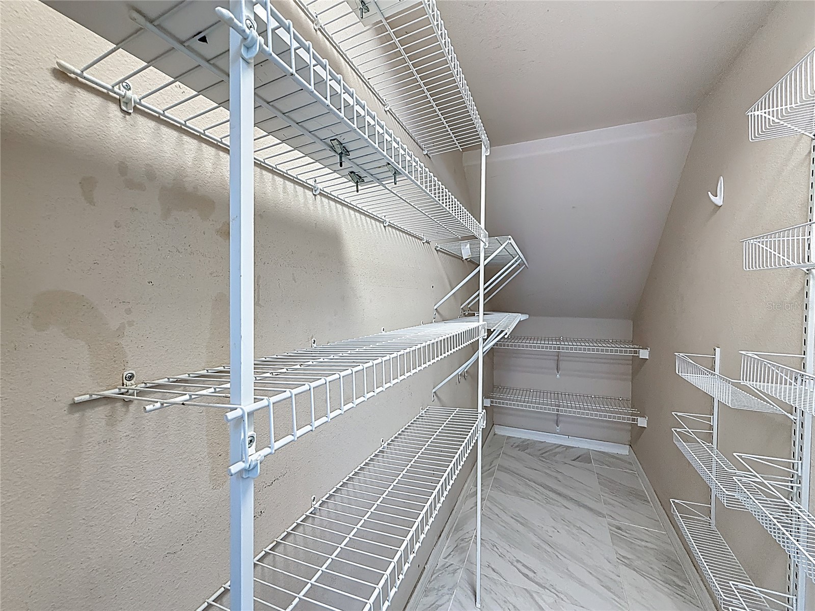 380 Rosalind Lane Oldsmar FL 34677 TB8474772 image64