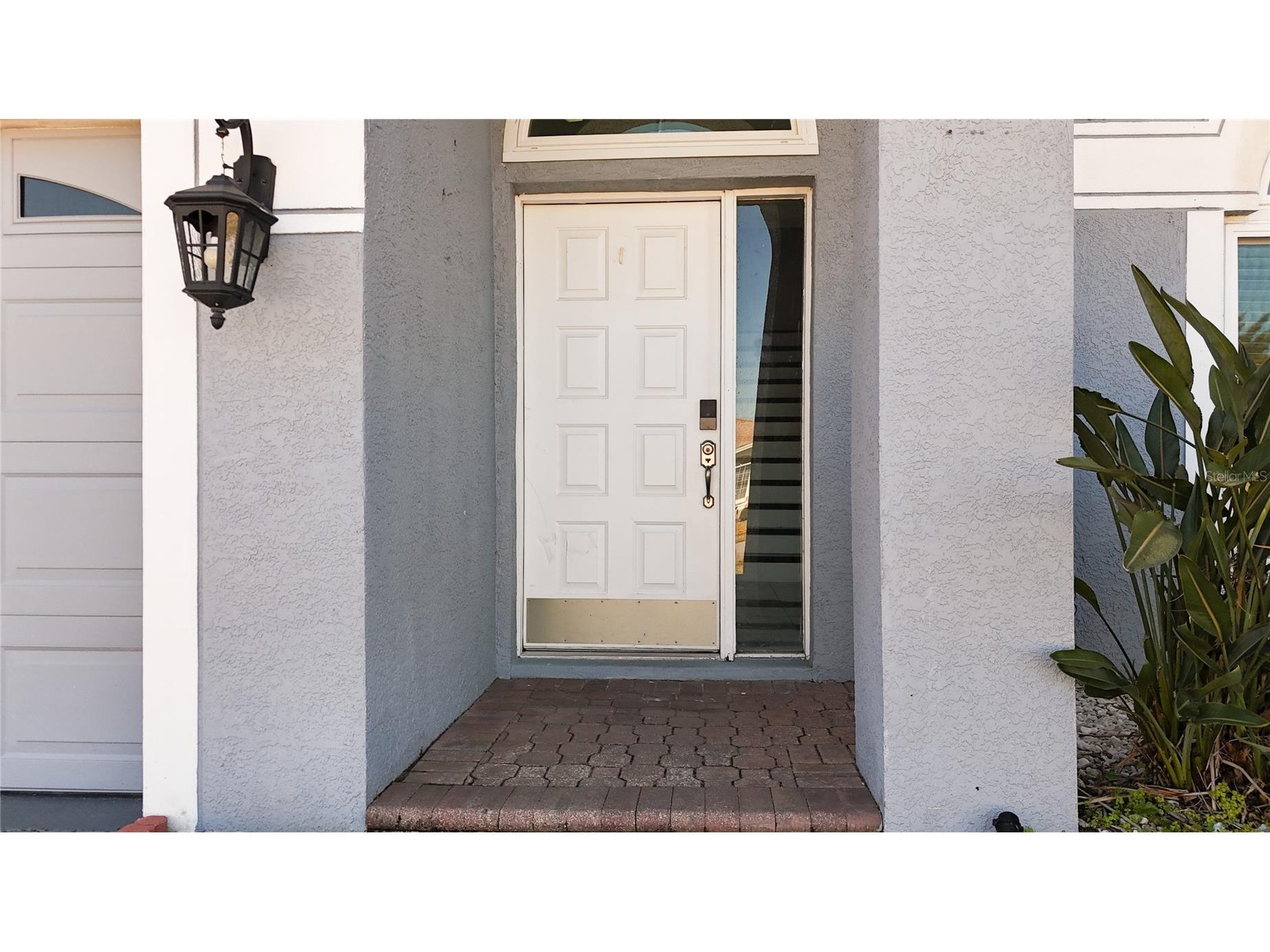 380 Rosalind Lane Oldsmar FL 34677 TB8474772 image7