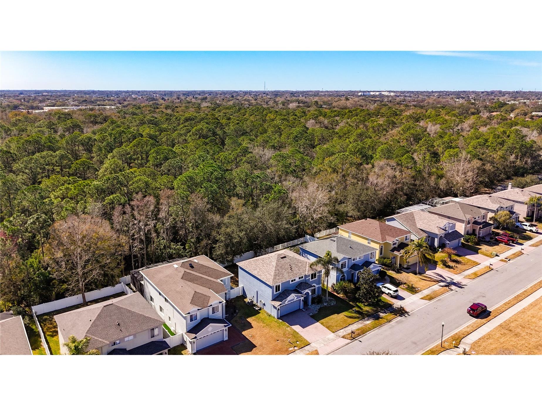 380 Rosalind Lane Oldsmar FL 34677 TB8474772 image87