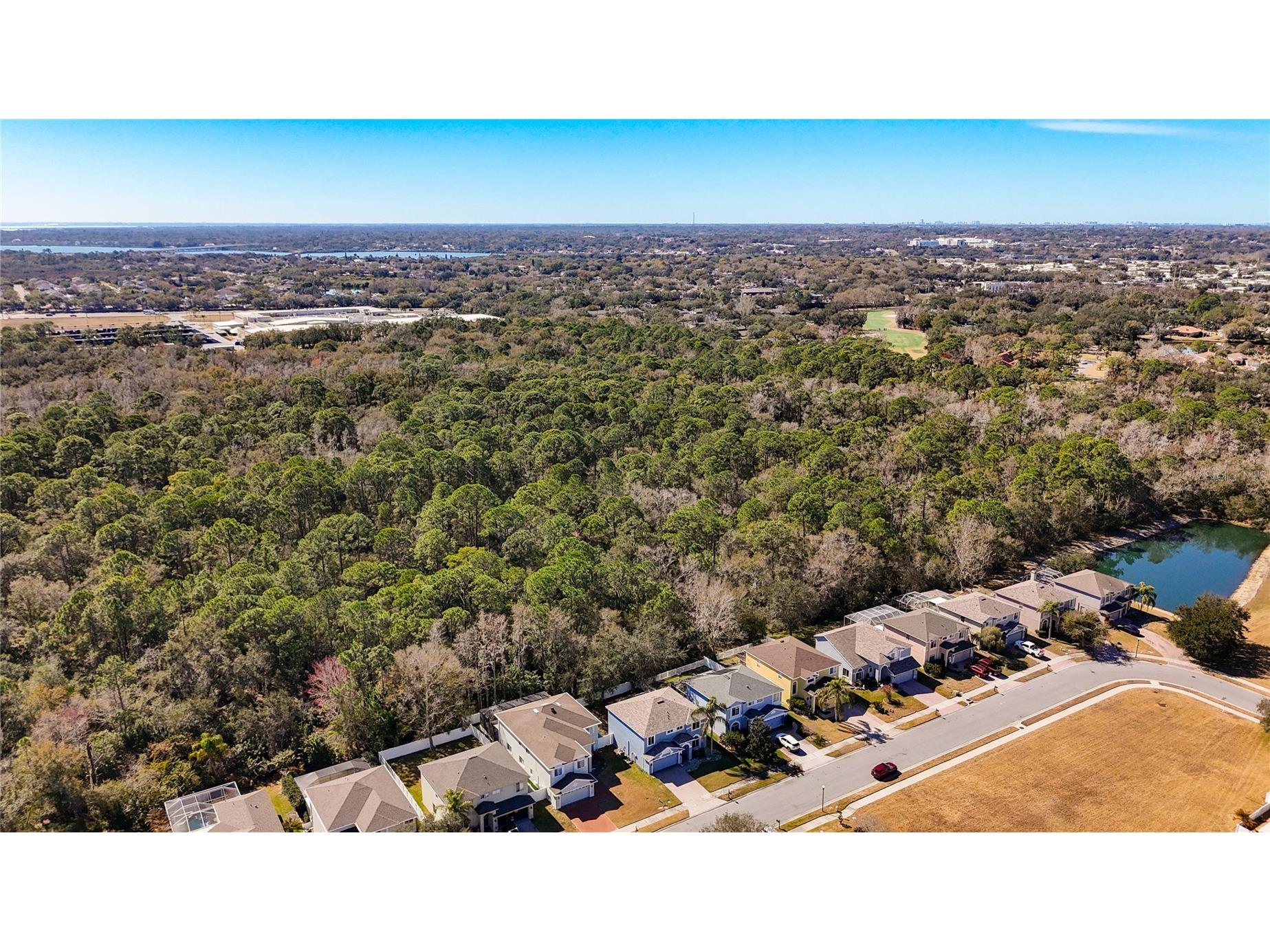 380 Rosalind Lane Oldsmar FL 34677 TB8474772 image88