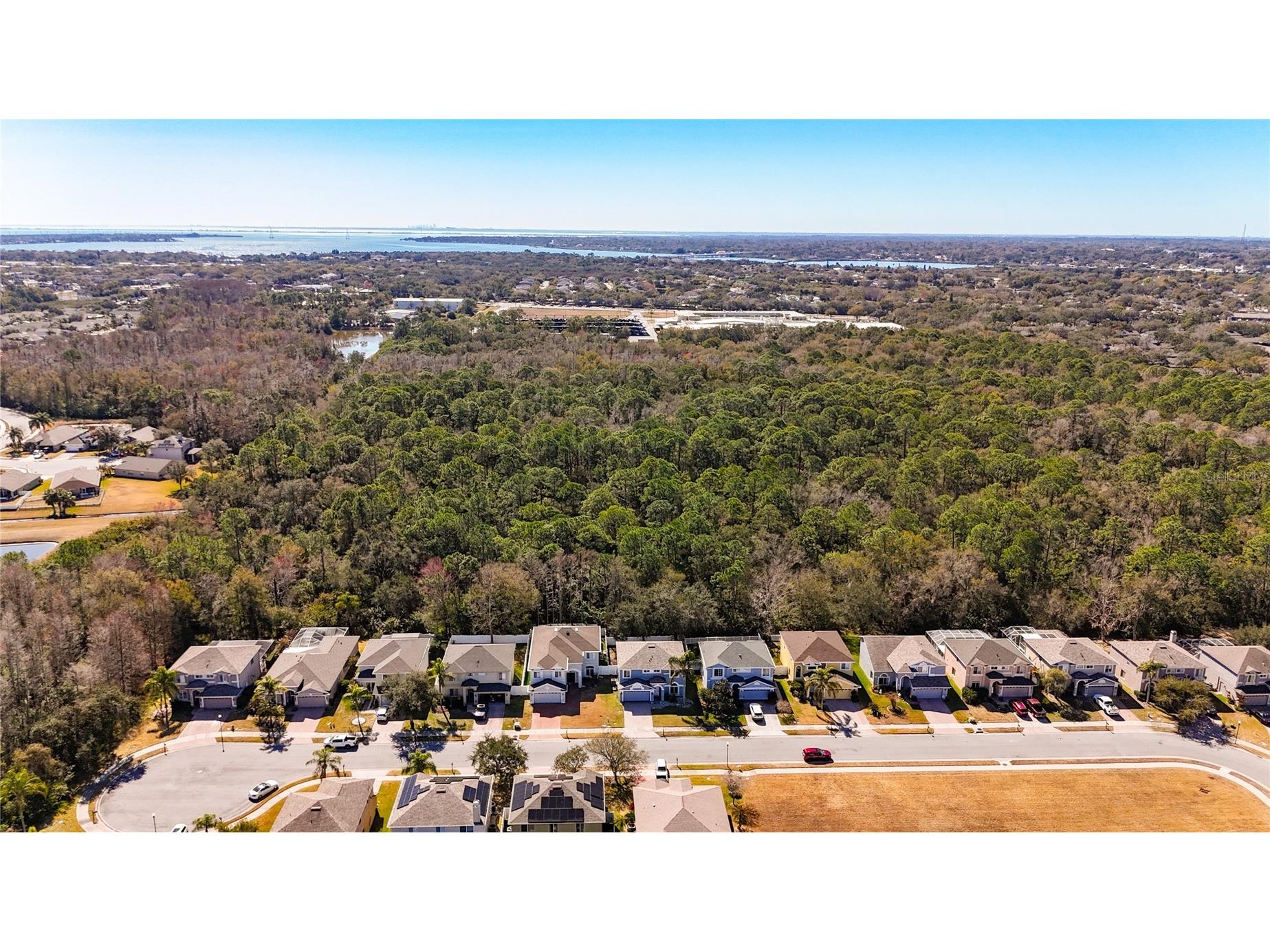 380 Rosalind Lane Oldsmar FL 34677 TB8474772 image91