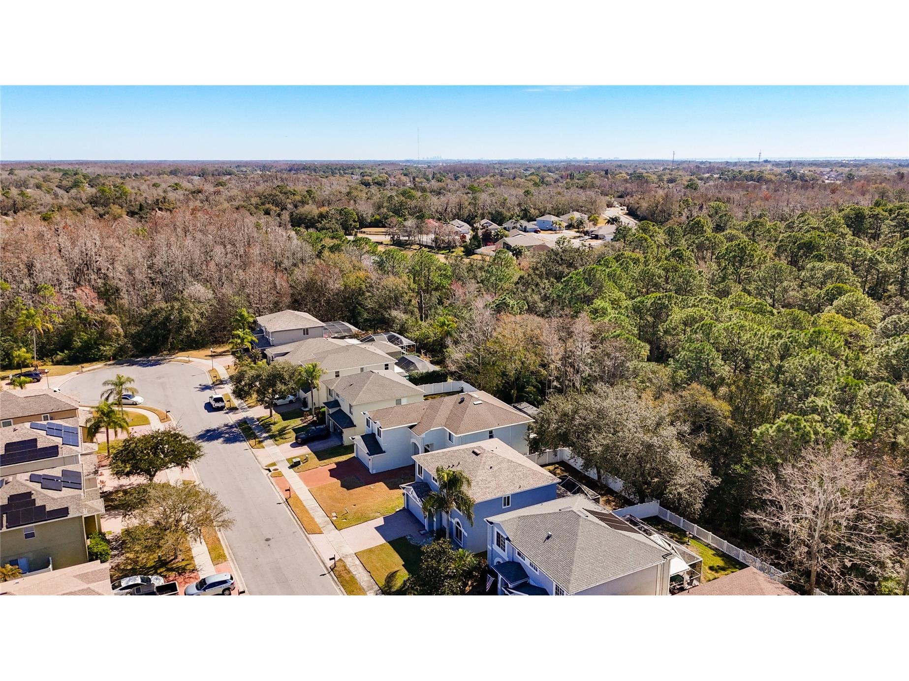 380 Rosalind Lane Oldsmar FL 34677 TB8474772 image93