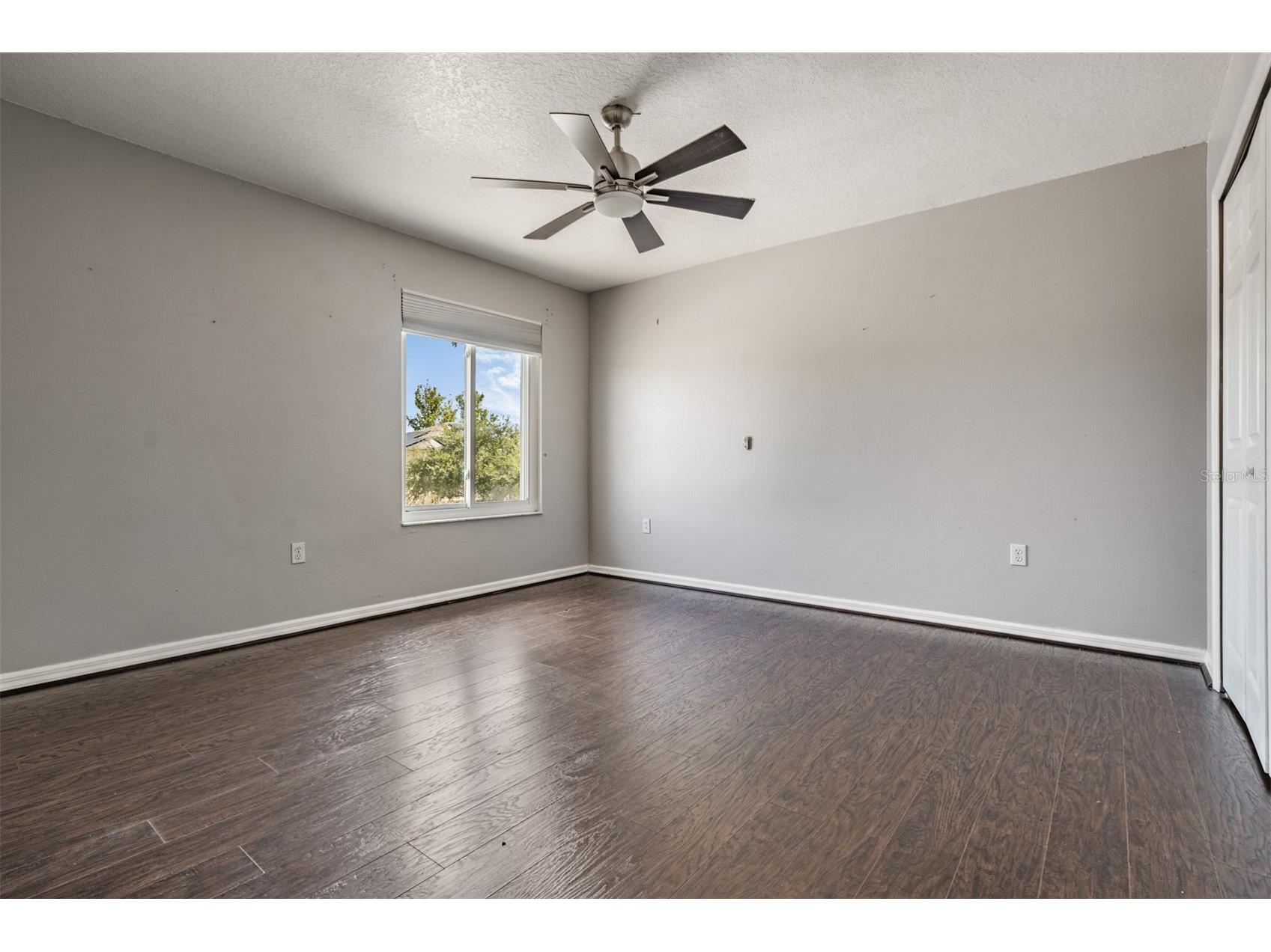 380 Rosalind Lane Oldsmar FL 34677 TB8510265 image31
