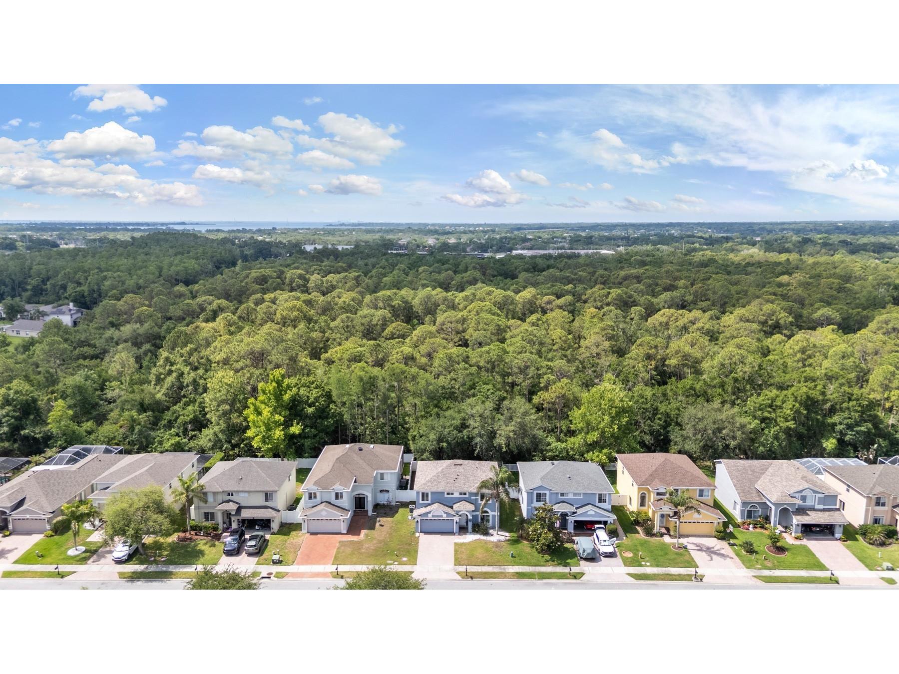 380 Rosalind Lane Oldsmar FL 34677 TB8510265 image46