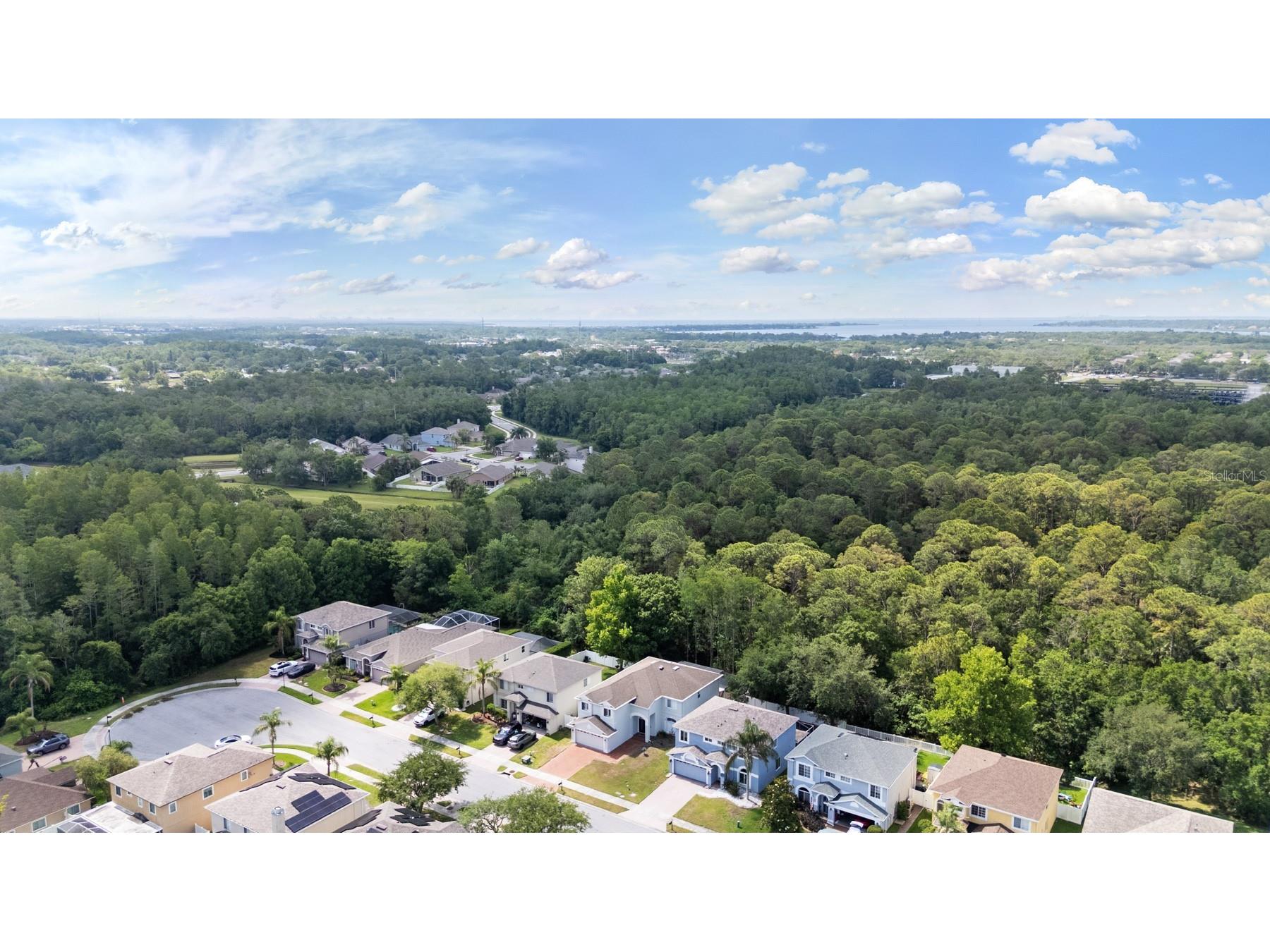 380 Rosalind Lane Oldsmar FL 34677 TB8510265 image47