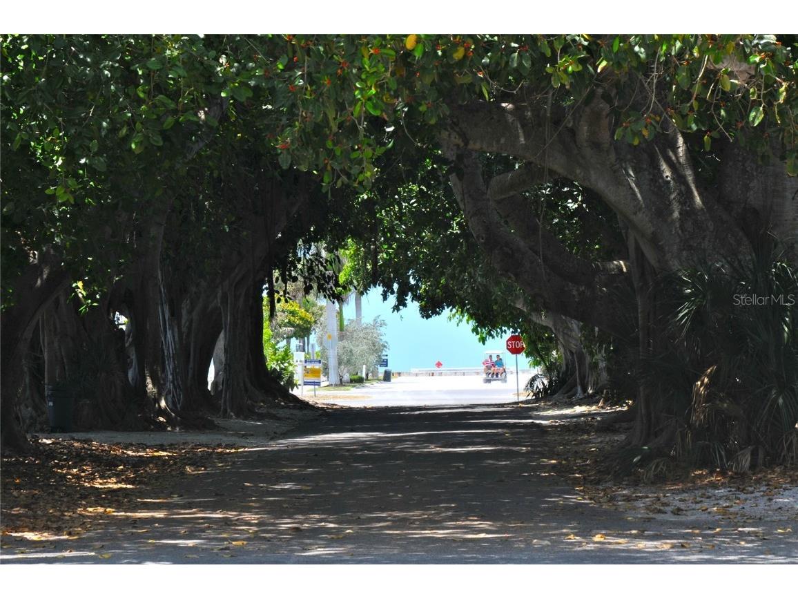 380 Tarpon Avenue Boca Grande FL 33921 D6144694 image34