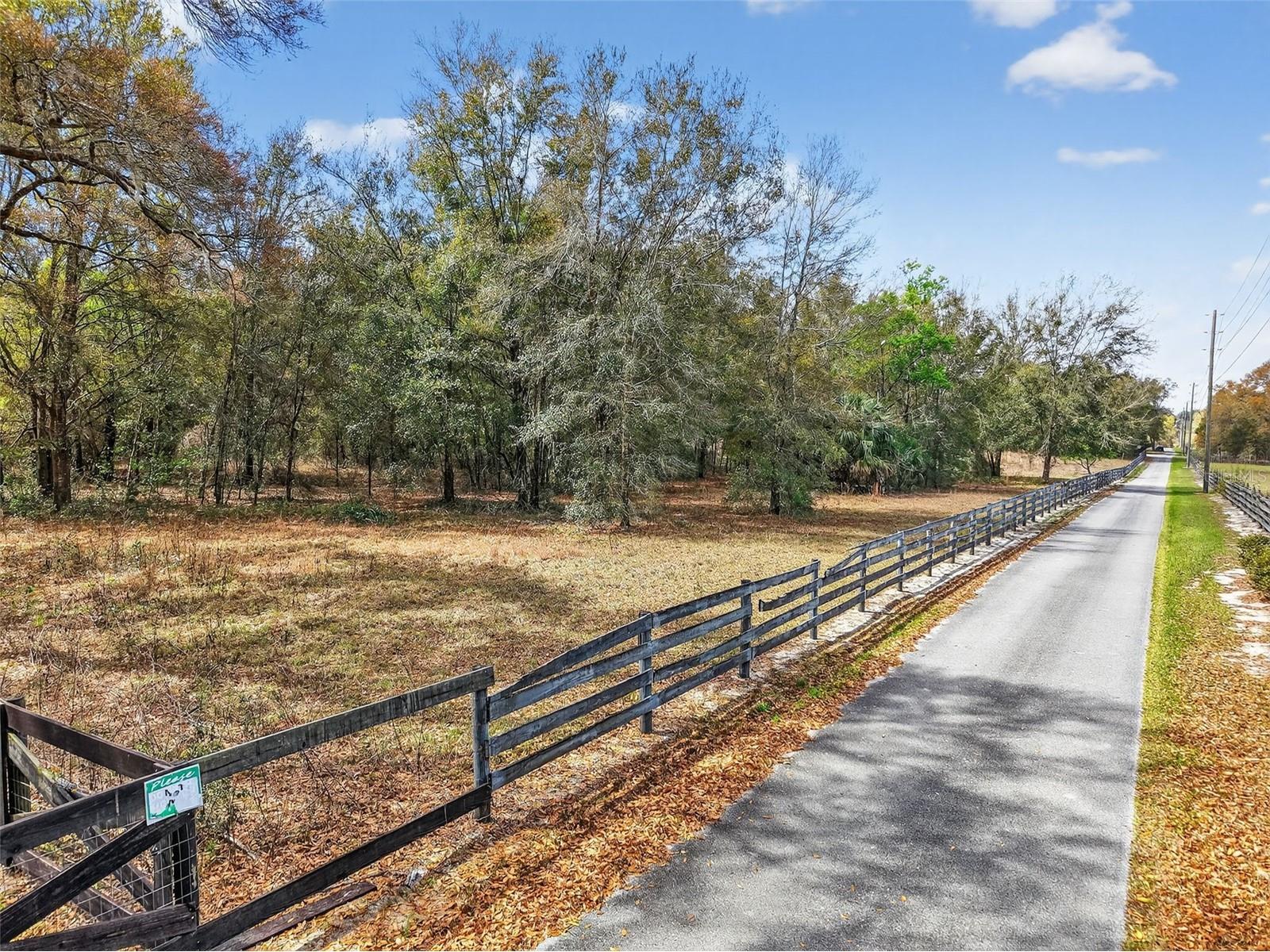 3800 Double D Circle R Lady Lake FL 32159 G5109202 image2