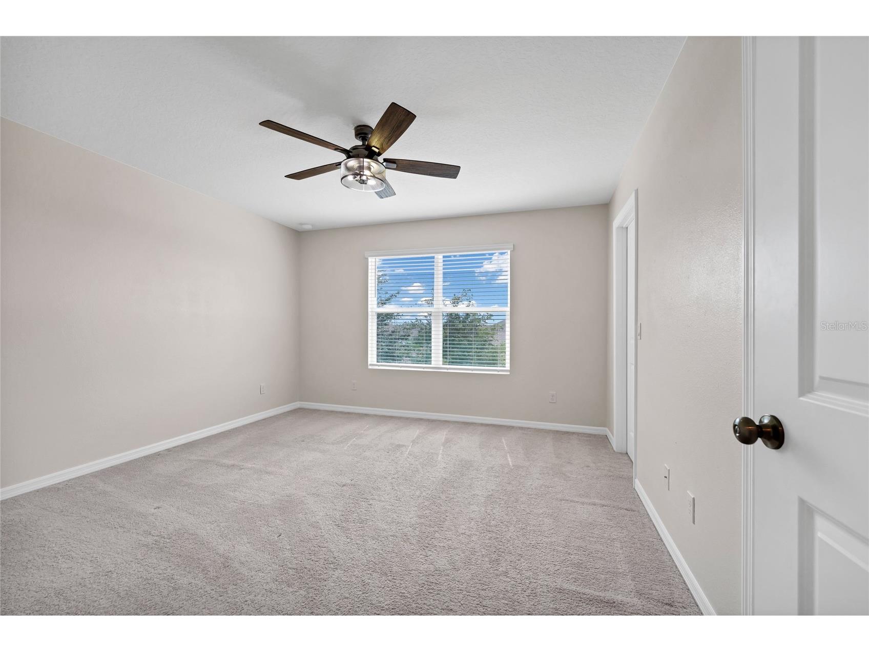 3800 Fescue Street Clermont FL 34714 O6411205 image28