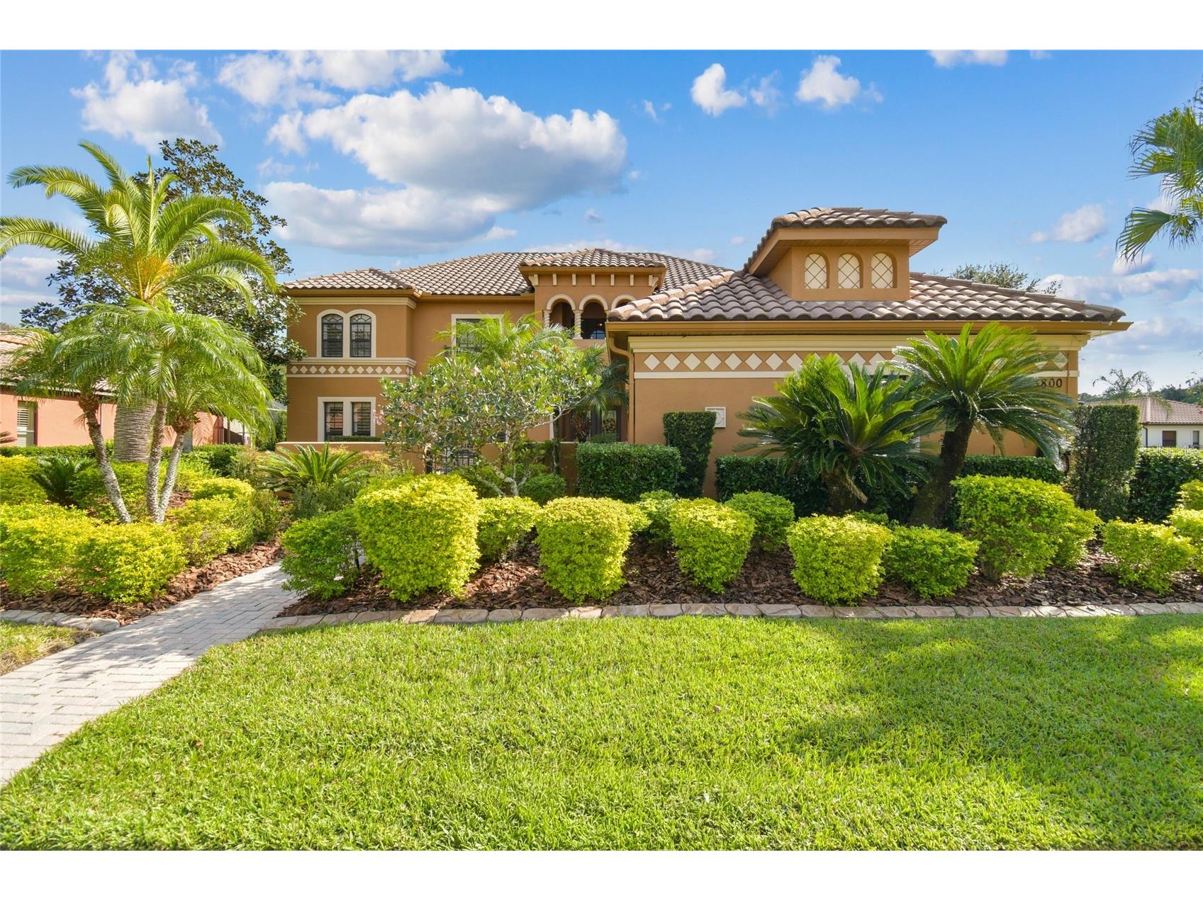 3800 Ivydale Court Land O Lakes FL 34638 TB8451234 image1