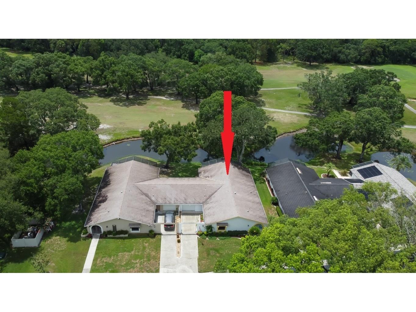 3800 Josie Lane #2 Palm Harbor FL 34685 U8206911 image1