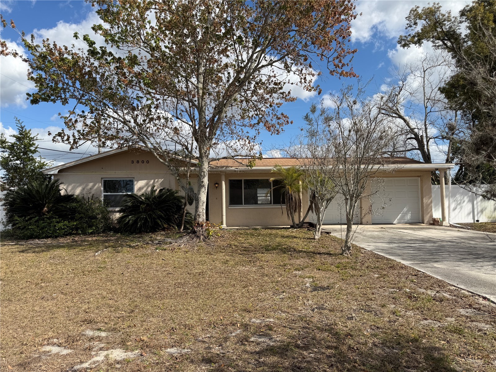 3800 Linkwood Street New Port Richey FL 34652 TB8477697 image1
