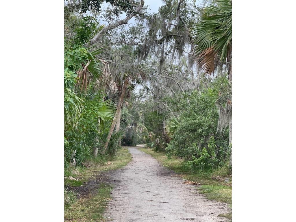 3800 Saxon Drive #C52 New Smyrna Beach FL 32169 O6365549 image22