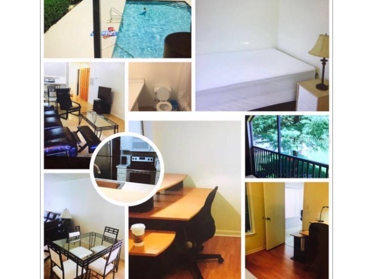 3800 SW 20th Avenue #204 Gainesville FL 32607 GC532132 image15