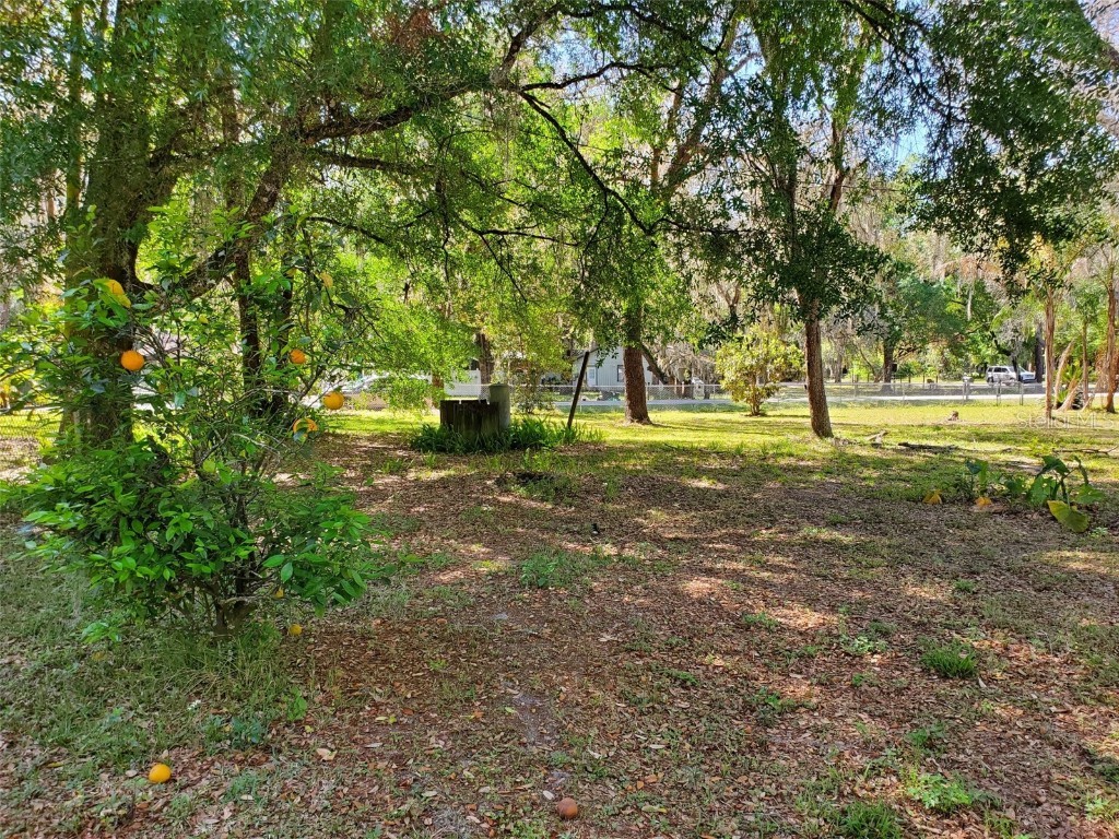 38009 Palm Grove Drive Zephyrhills FL 33542 T3433981 image1